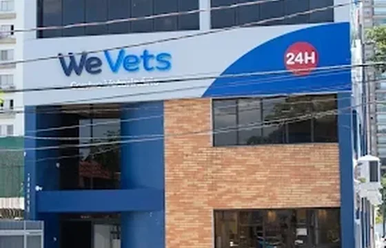 Hospital WeVets Campo Belo