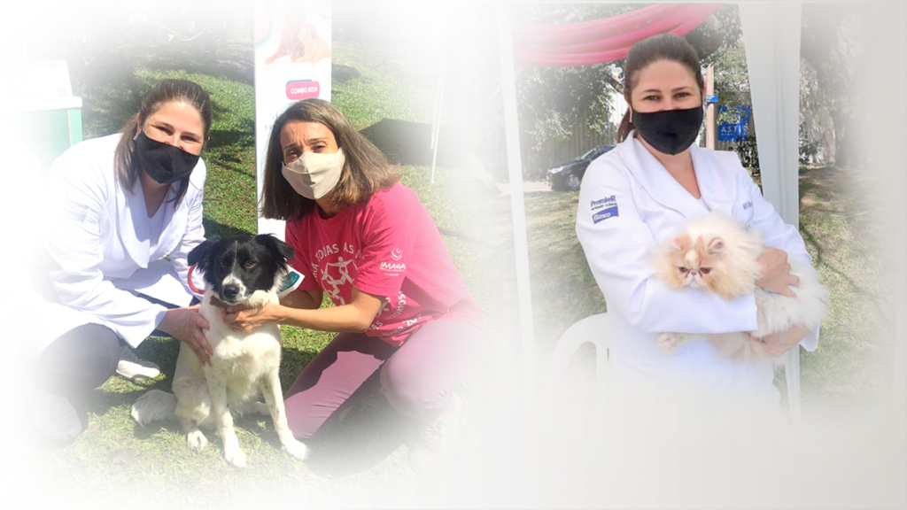 Veterinária em consulta para fazer exame de toque para detectar câncer de mama em cadelas e gata – Mundo Animal