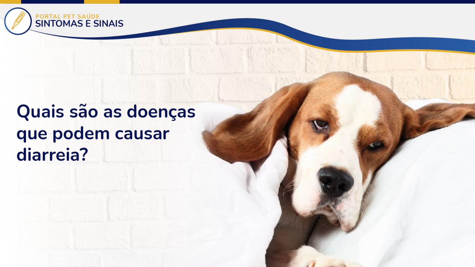 Cachorro com dor deitado no sofá com cobertor – Portal Pet Saúde