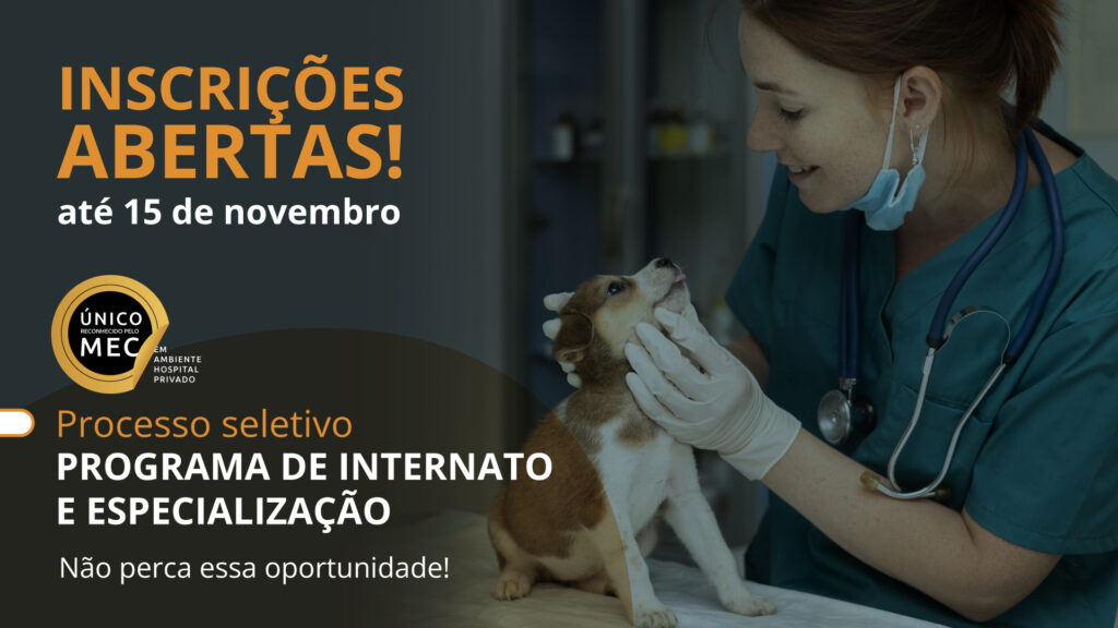 Médica veterinária jovem examinando beagle no Programa de Internato e Especialização – Portal Pet Saúde