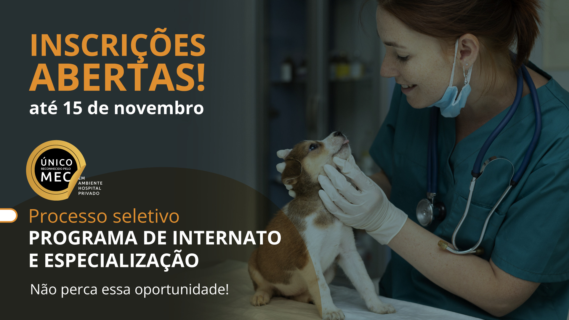 Processo seletivo para programa de Internato e Especialização da Famesp / rede de hospitais Mundo Animal (Porto alegre), Pompéia e Sena Madureira ( São Paulo) está com inscrições abertas