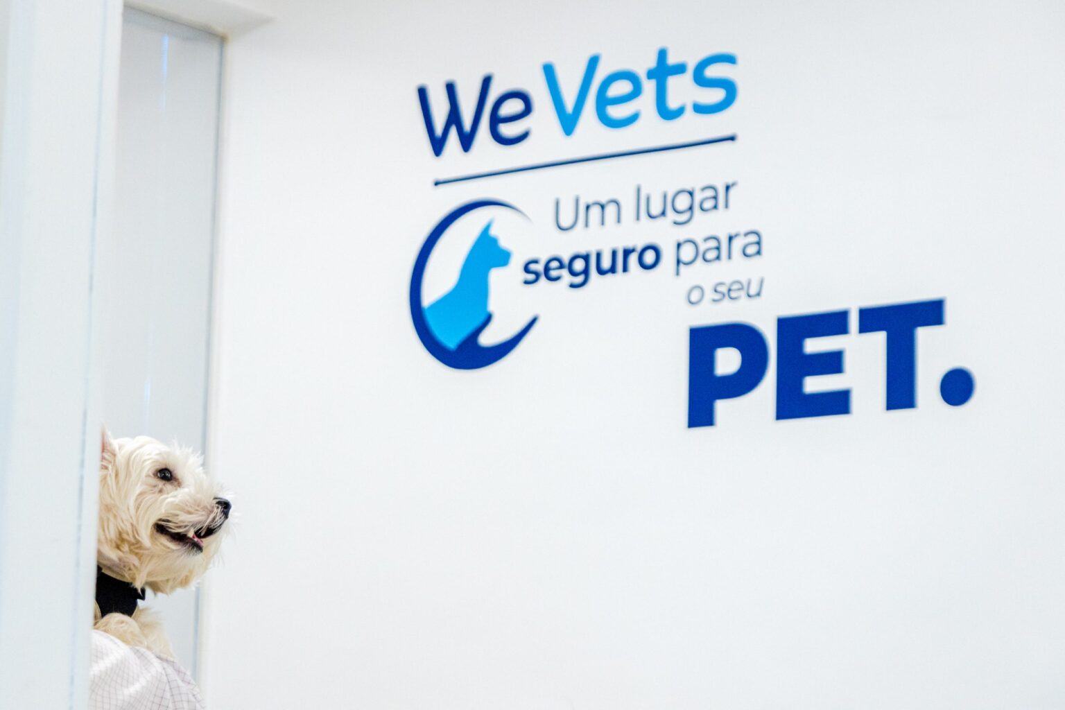Mercado de PET avança rapidamente em ranking dos players do varejo Mercado de PET avança rapidamente em ranking dos players do varejo