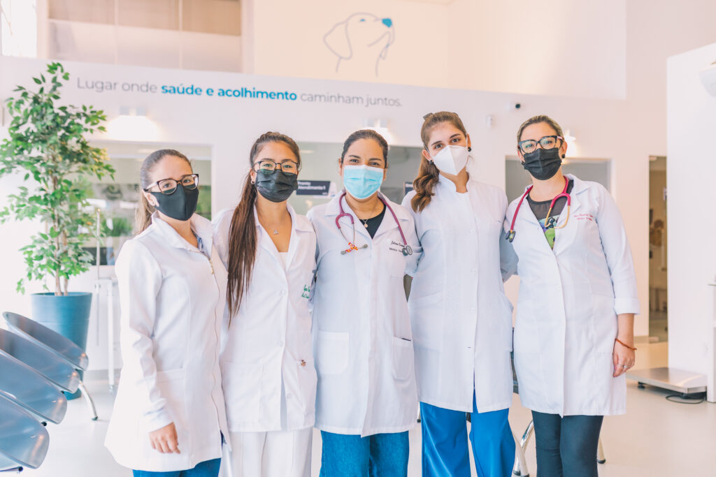 Rede veterinária WeVets une tradição com inovação e recebe aporte de R$ 100 milhões