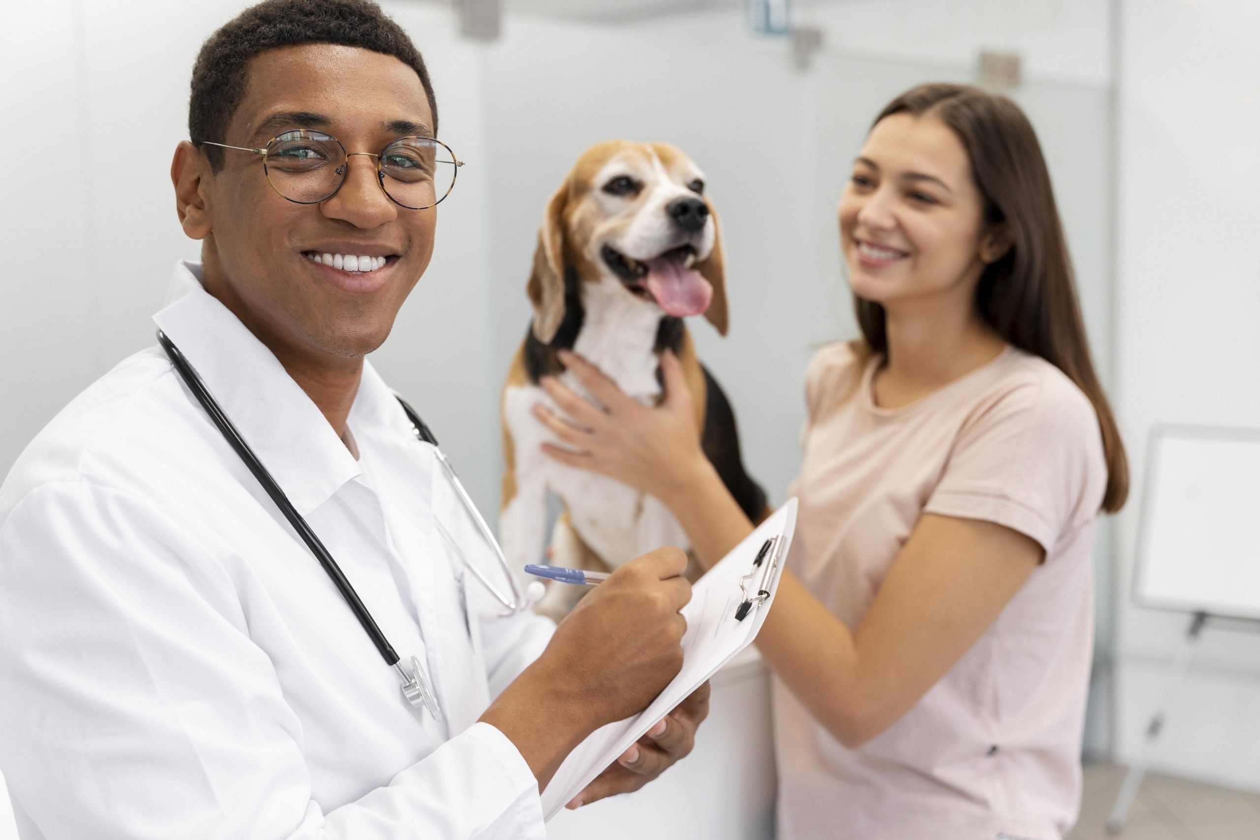 Médicos-veterinários falam sobre a importância de estreitar laços com tutores de pets