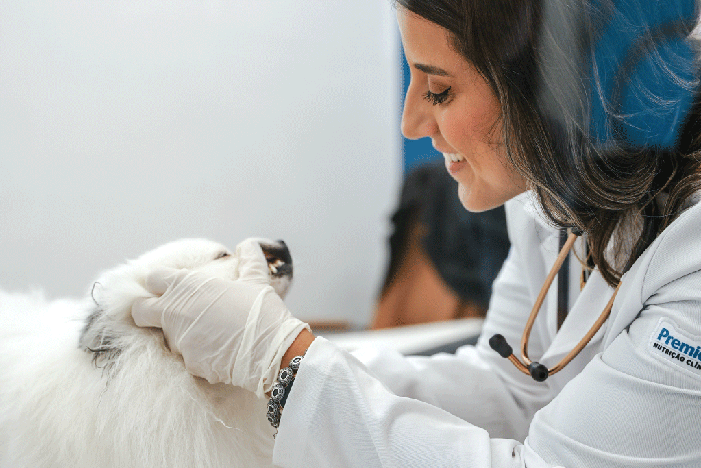 Saúde bucal de cães e gatos: Tudo o que você precisa saber! Saúde bucal de cães e gatos: Tudo o que você precisa saber!
