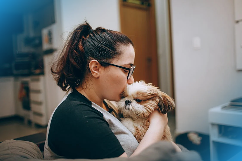 Plano de saúde pet vale a pena? Tire suas dúvidas sobre o assunto