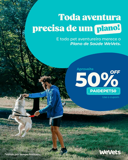 Toda aventura precisa de um plano