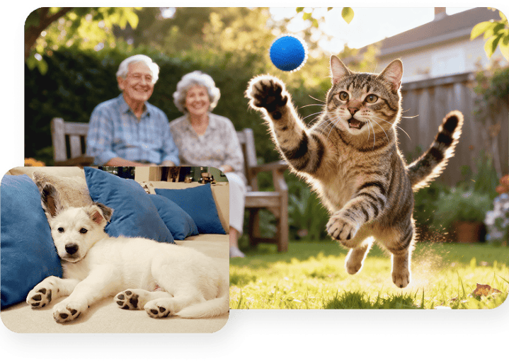 Nosso compromisso com a vida do seu pet​