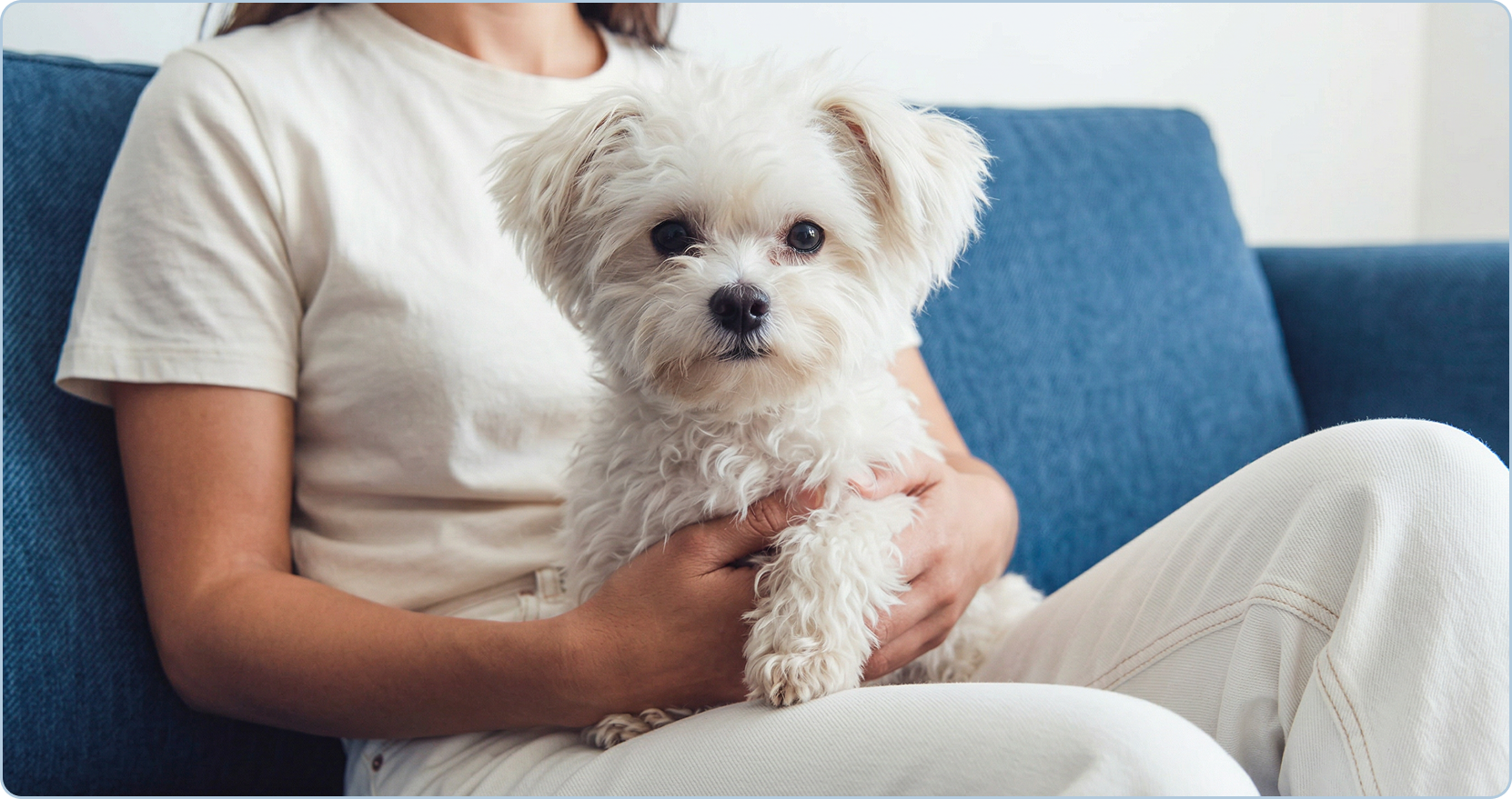 Serviços veterinários integrados com hospital 24h
