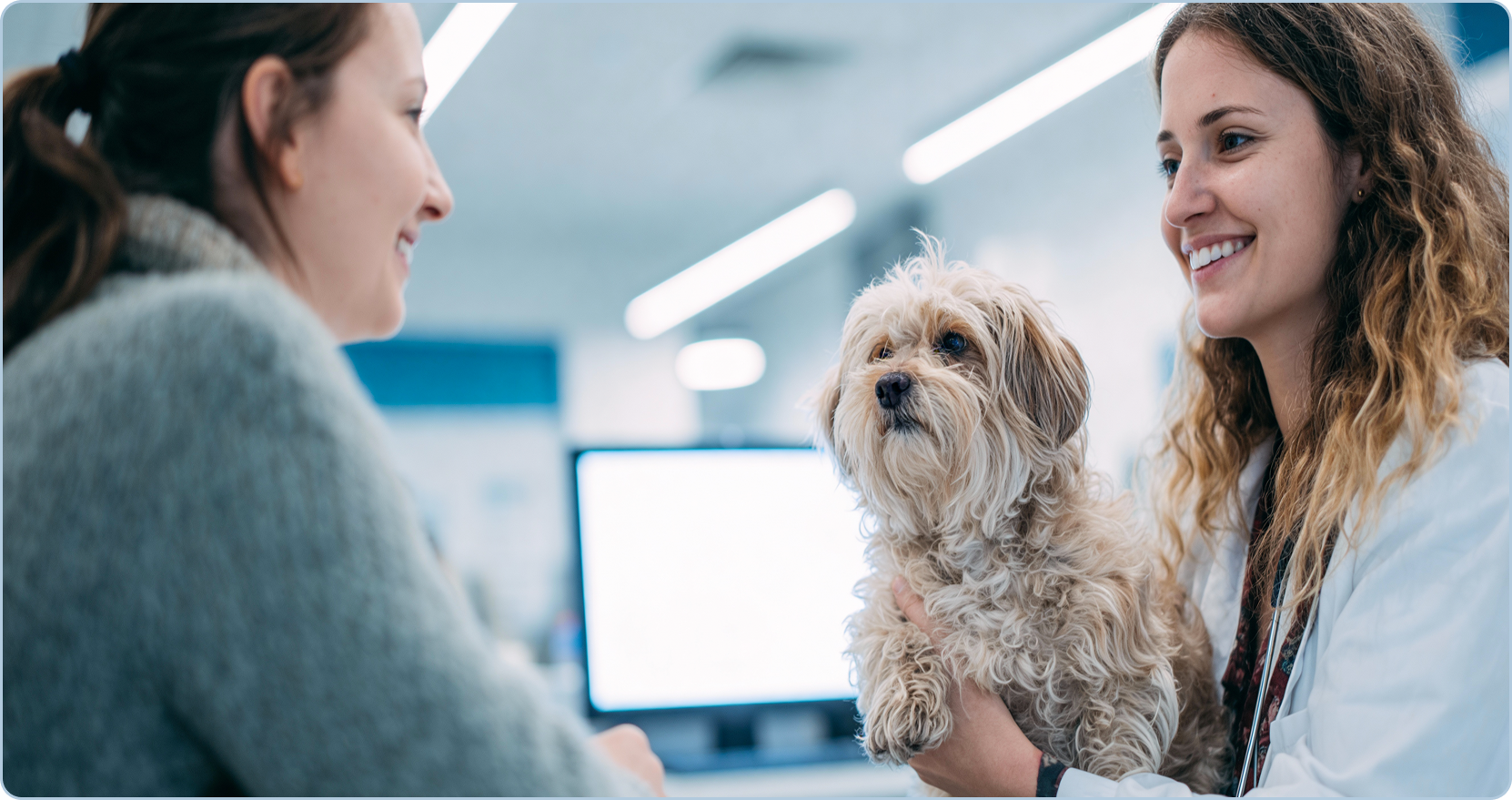 Serviços veterinários integrados com hospital 24h