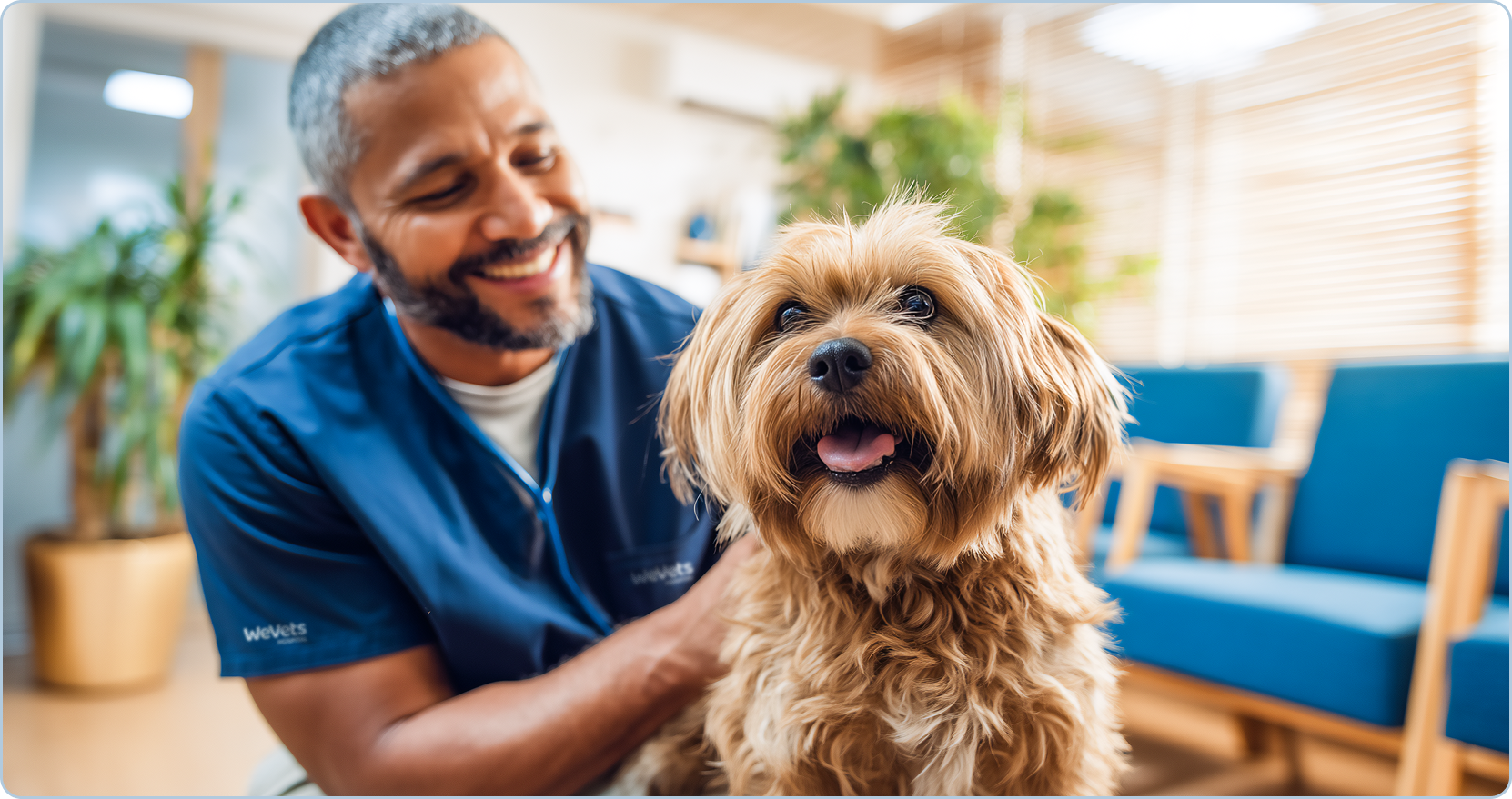 Serviços veterinários integrados com hospital 24h