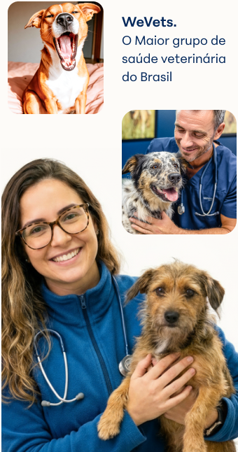Conheça a WeVets: o maior grupo de saúde veterinária do Brasil