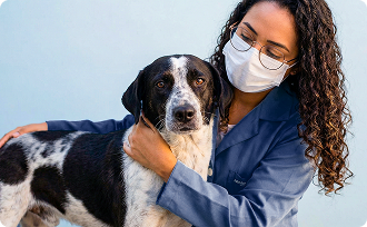 Conheça a WeVets: o maior grupo de saúde veterinária do Brasil