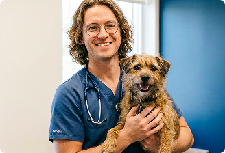 Endoscopia veterinária: exames e remoções