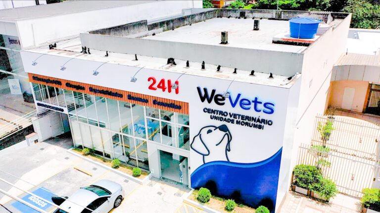 Hospital veterinário Morumbi: emergência e exames