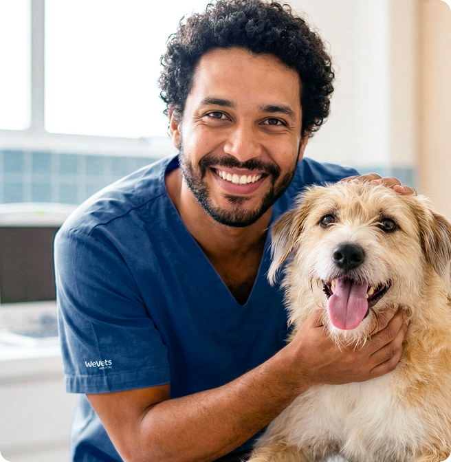 Para Veterinários
