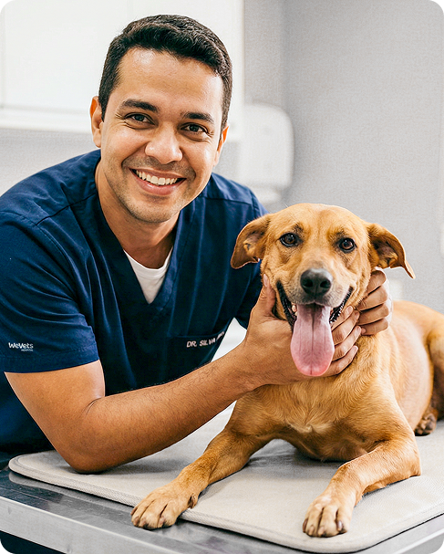 Para Veterinários