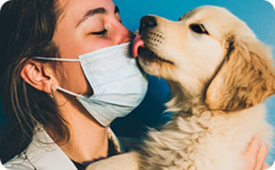 Para Veterinários